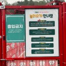놀러오개 애견유치원 애견호텔 분당직영점 | 용인 광주 애견유치원 놀러오개, 데이케어와 호텔도 OK!