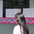 강남 한국일보
