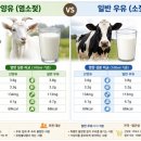 콕슈퍼케라믹 네이버블로그