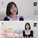 조이애견