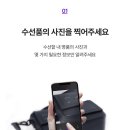 수선앤리폼