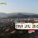 낭만식객 이미지