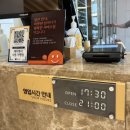 로카와 델피노1 이미지