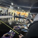 [광주] 충장로 붕어의 신 낚시 카페 아이와 이색 체험 데이트 장소 주차 이용료