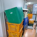백두익스프레스