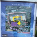 2025 조선대 축제 라인업 싸이 축제후기 좋은자리꿀팁