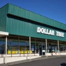 달러트리(Dollar Tree)
