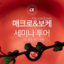 매크로투어