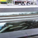 신길장어 이미지