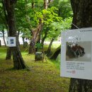 장산액자 이미지