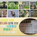 포포edu