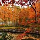 장태산자연휴양림 이미지