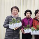 대조동주민센터 이미지