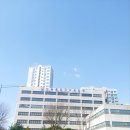 하늘행정사사무소 이미지