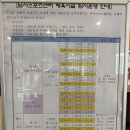 용인시 처인구 한숲시티 남사스포츠센터 수영장 후기 최신 업데이트