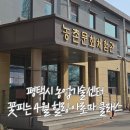 농업기술센터 | 평택농업기술센터 아로마클래스 후기｜꽃 피는 4월 힐링아로마체험 4주 수업 이야기