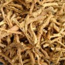 불로초 한의원 이미지