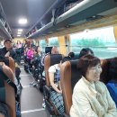 2026년 5월 21일 ~ 22일 , 강화도 (화개정원, 고인돌유적지, 자연사박물관, 강화문학관, 옥토끼우주센터) 이미지