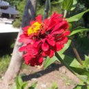 호암민박 이미지