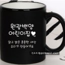 원광백양어린이집 이미지