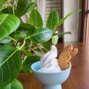 옥토끼목장 이미지