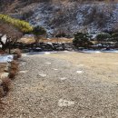 돼지마을숯불구이 이미지