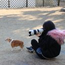 W&W(와앤와) 이미지