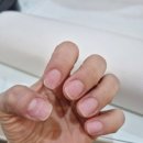 동탄공원로 | [동탄네일샵 동탄센트럴파크네일] 시크릿네일 아트만족후기