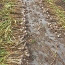 가서농장 이미지