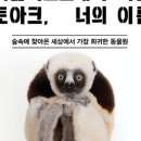 북서울꿈의숲(상상톡톡미술관) 이미지