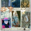 조은연리지 이미지