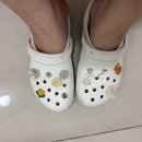 꽃그리다 지비츠 세트 후기