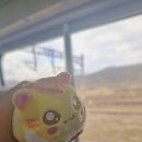 241214-15 : 대전