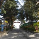 삼국유사 화본마을 영농조합법인 이미지