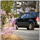 경희어울림한의원 이미지