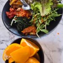 애견의 명가 궁 이미지