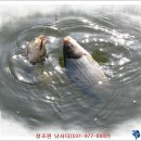 청조원2 이미지