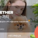 오르 이미지