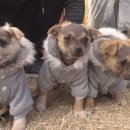 미문농장 이미지