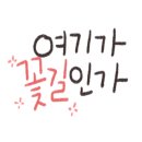 강서다목적체육관 이미지