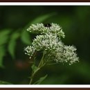 구름따라 그곳에가면 이미지