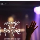 (주)호마노