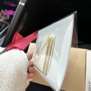 [주말일상] 소보루스튜디오 ㅣ 대전애견프로필사진 후기 ㅣ 도안동 돈까스 ㅣ 두돈또돈 ㅣ 집들이 ㅣ...
