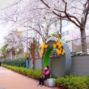 하신중앙로239번길 이미지