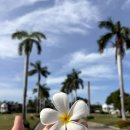 소요산 건축자재마트 | 세부한달살기 가이사노 그랜드몰 과자 추천, 율추미치 한국음식 배달 후기