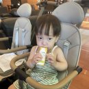 도영목장 이미지