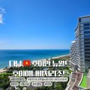 뉴월드 호이아나 비치 리조트 실시간 후기 25.6월