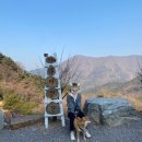 가야산장식당 이미지