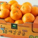 해풍달