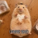 가오리역 이미지